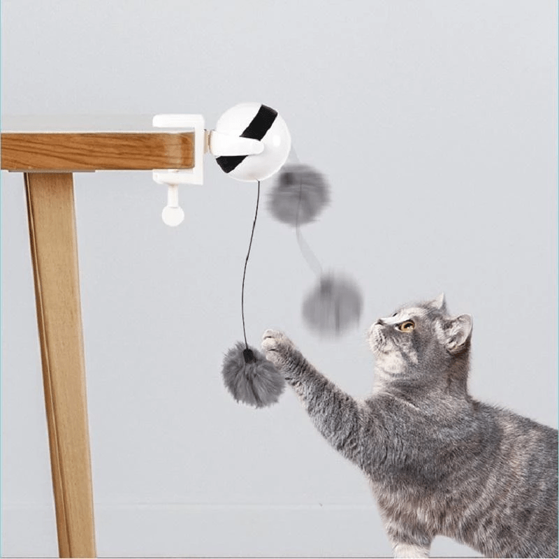 New Electric Cat Toy Funny Cat Teaser Ball Toy Automatic Lifting Spring Rod - by Famigift