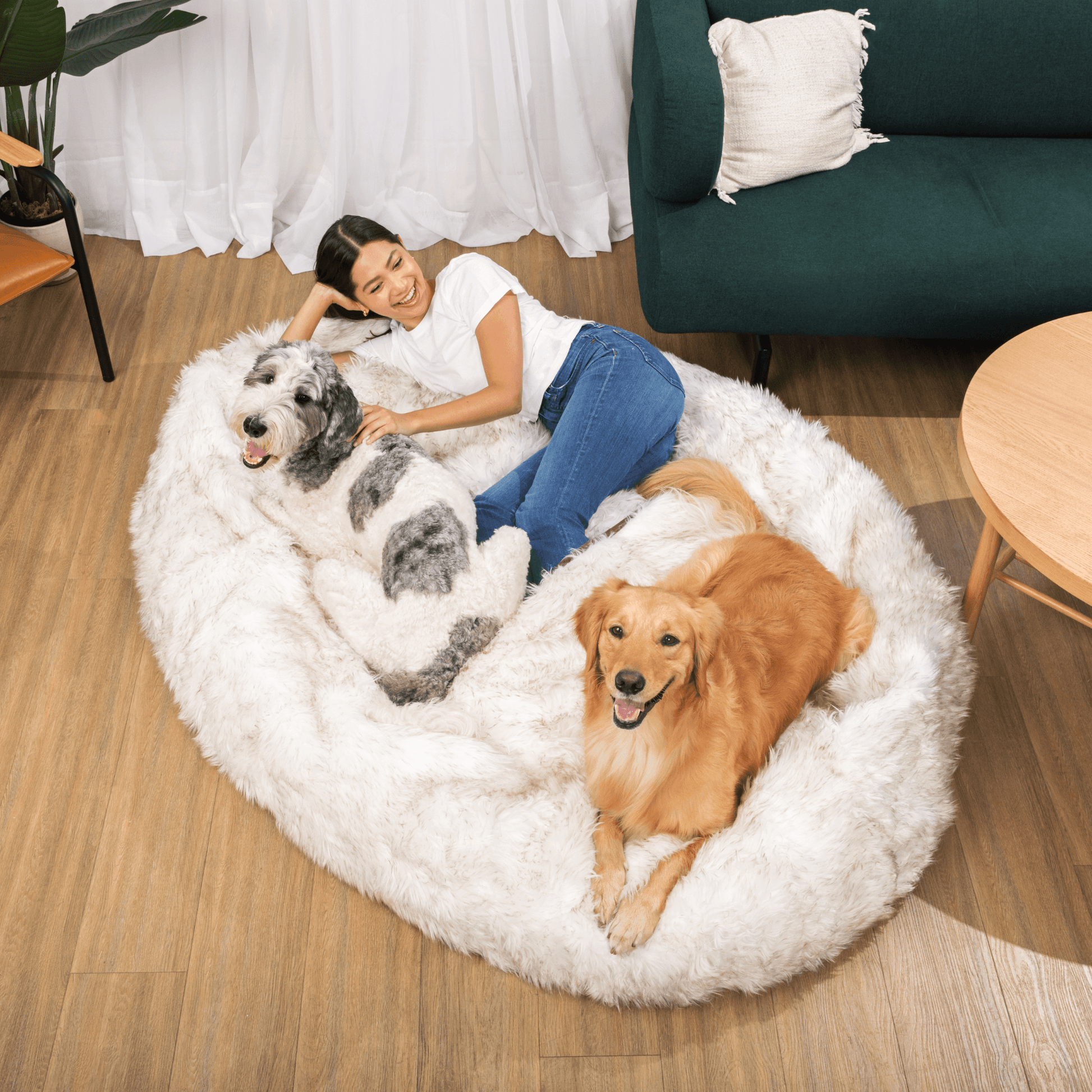 Petcare™ Anti Anxiety Dog Bed - Apricot - by Famigift