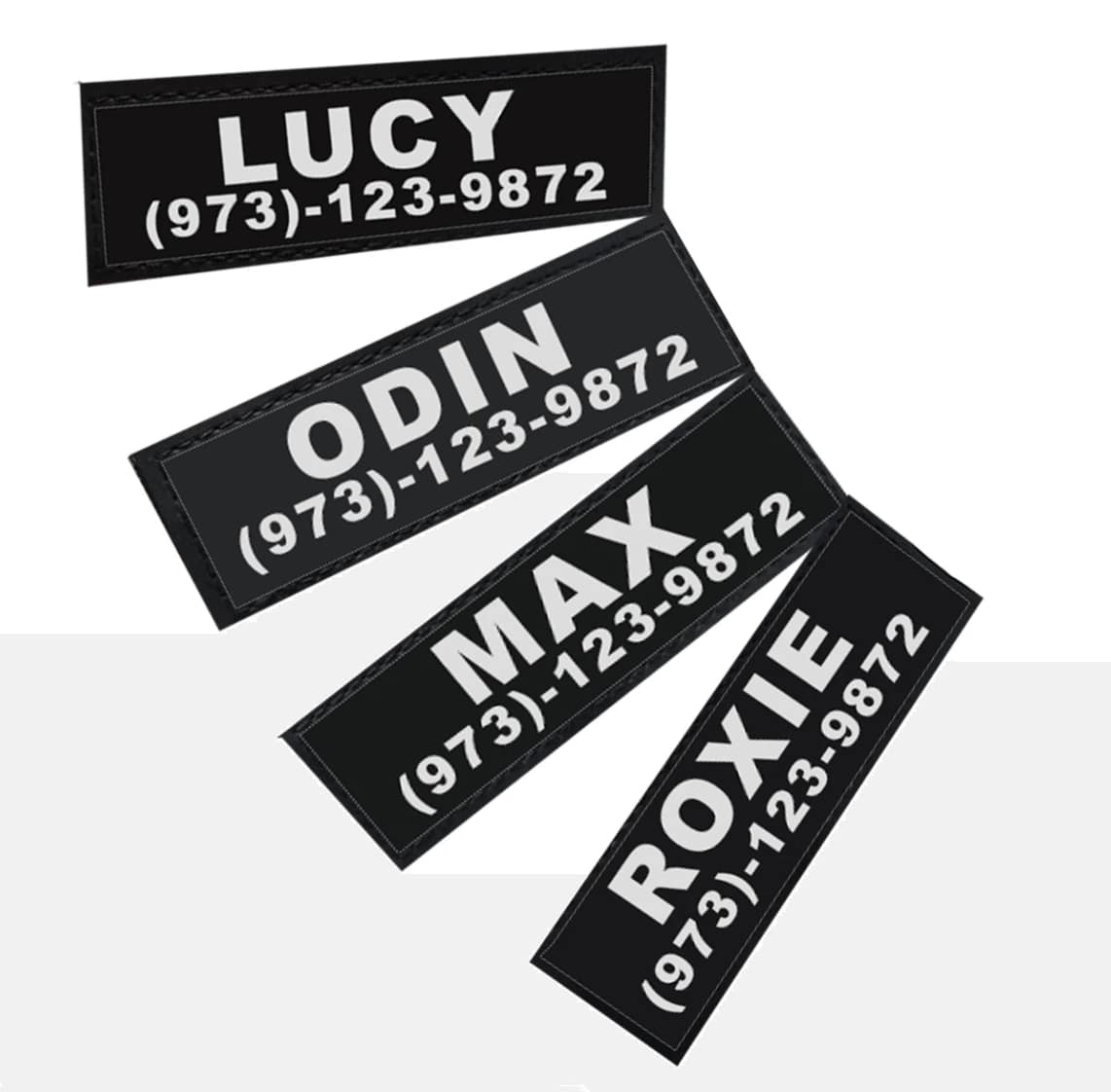 Dogs Chest Name Strap by Fami Petcare - L - by Famigift