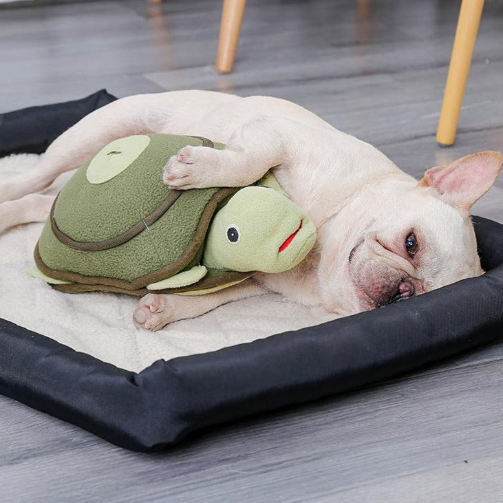 Cute Squeaky Dog Chew Toys Pet Training Toy - by Famigift