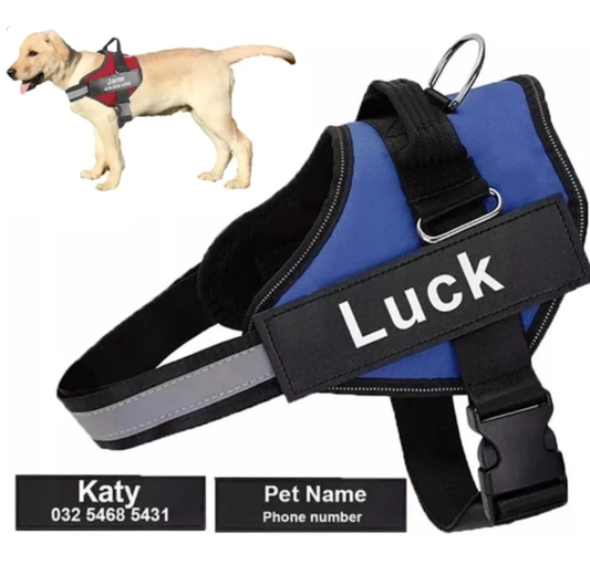 Reflective No-Pull Dog Harness - Black - by Famigift