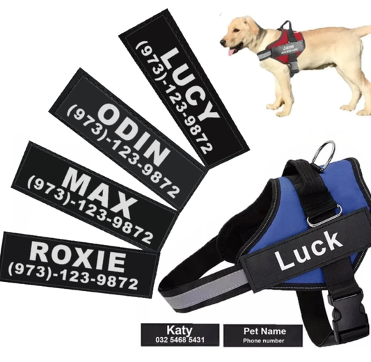 Dogs Chest Name Strap by Fami Petcare - S - by Famigift