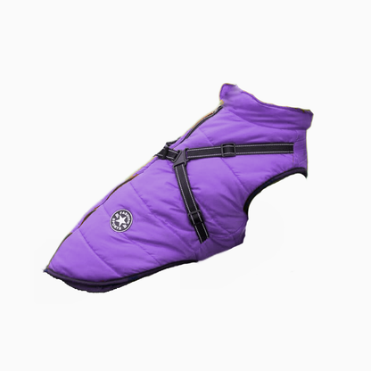 Petcare Dog Winter Jacket - Black - by Famigift