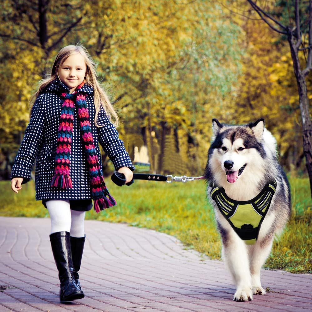 Y-shape Dog - Blue - by Famigift