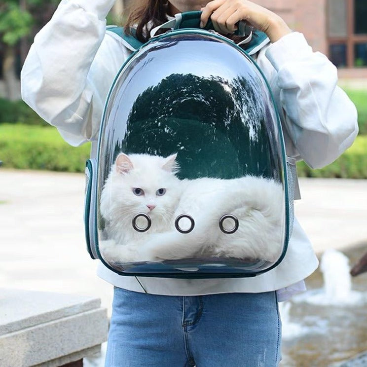 Portable Pet Carrier Backpack With Space Capsule Bubble - by Famigift