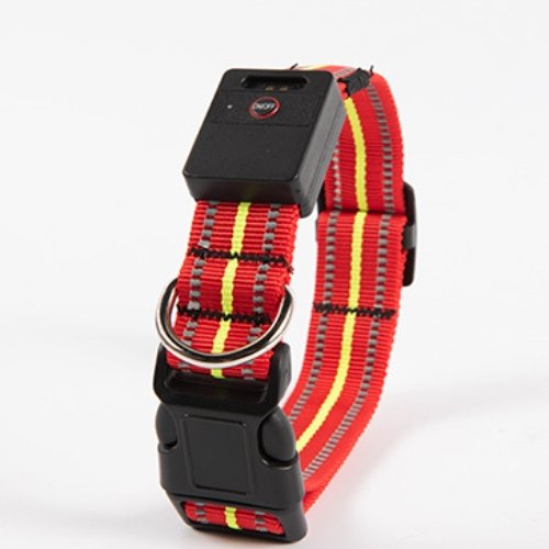 Dog Glowing Collar By Fami Petcare - Green - by Famigift