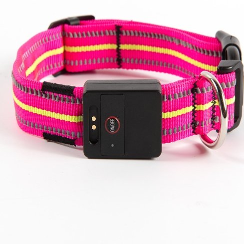 Dog Glowing Collar By Fami Petcare - Pink - by Famigift