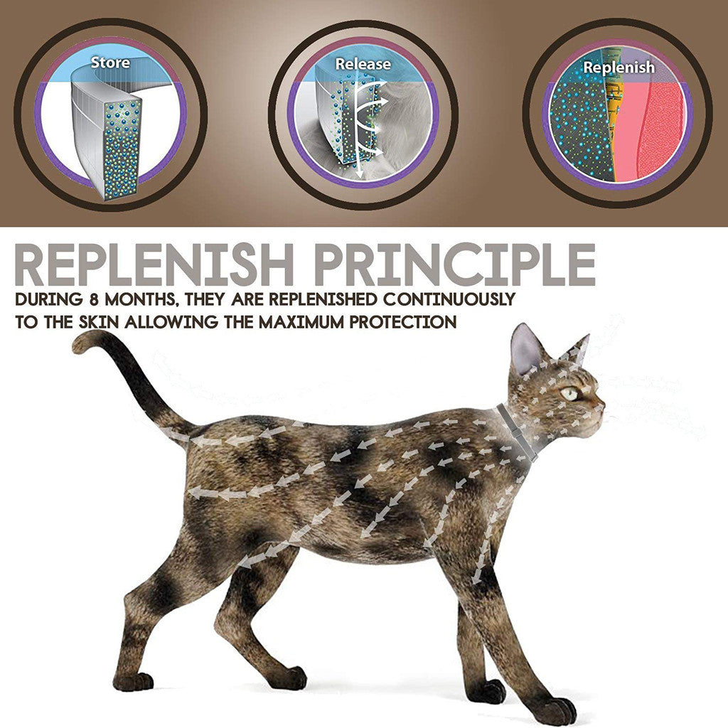 Flea & Tick Collar - by Famigift