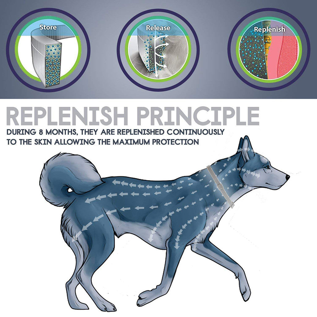 Flea & Tick Collar - by Famigift