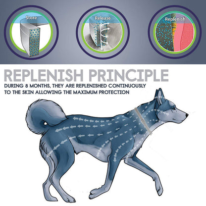 Flea & Tick Collar - by Famigift