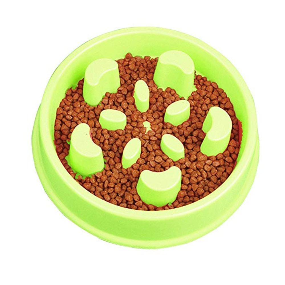 Dog Feeding Bowl Fun Slow Feeder Stop Bloat - by Famigift