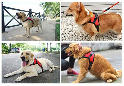 Dog Harness No-Pull Adjustable Outdoor Reflective Pet Vest Easy Control for Small Medium Large Dogs - M - by Famigift
