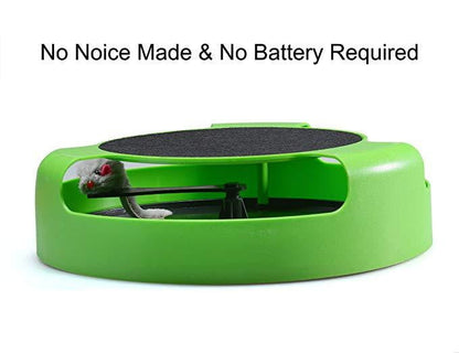Cat Toy Interactive Cat Toy with Running Mouse and Scratching Pad - by Famigift