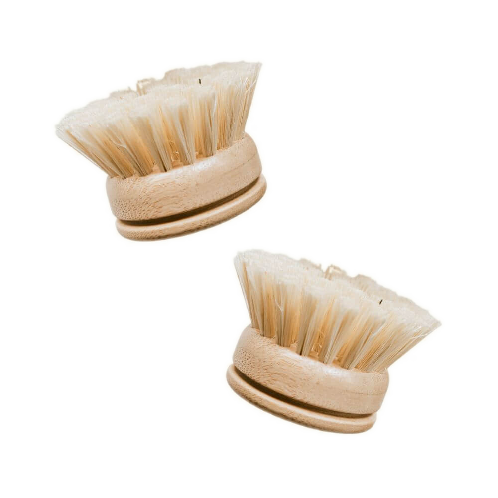 Refill Head Brush - 2 Pack - Default Title - by Famigift