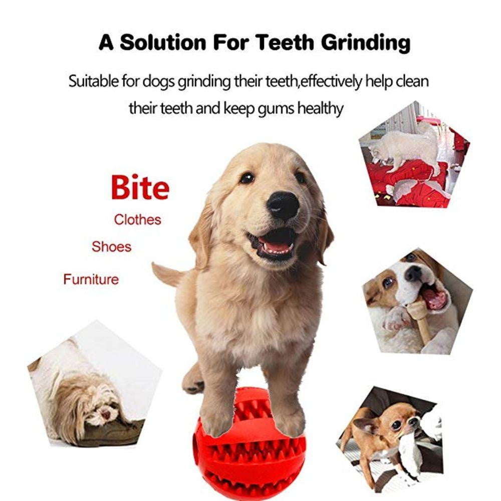 Fami Petcare Interactive Teeth Cleaning Ball - Dark Blue - by Famigift