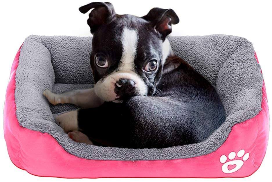 Petcare Soft Fleece Dogs Bed - Green - by Famigift