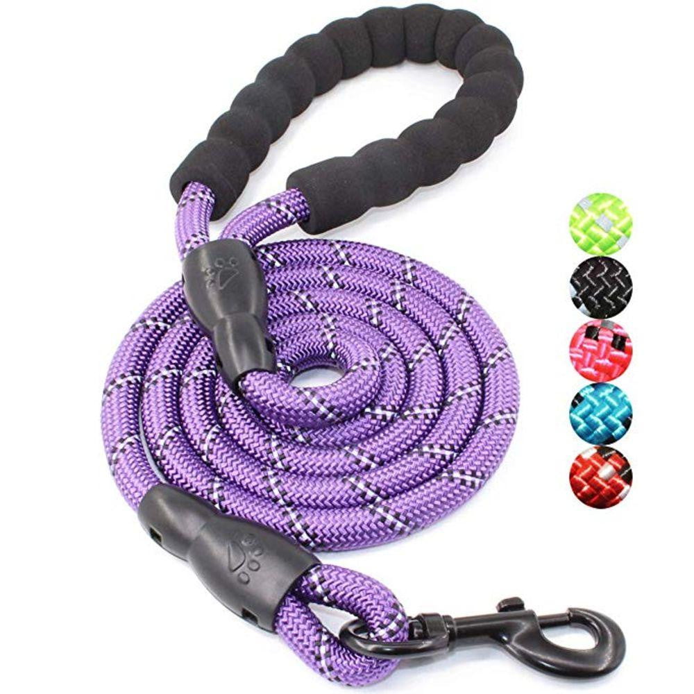 5ft Strong Dog Leash with Comfortable Padded Handle and Reflective Threads for Medium and Large Dogs - by Famigift