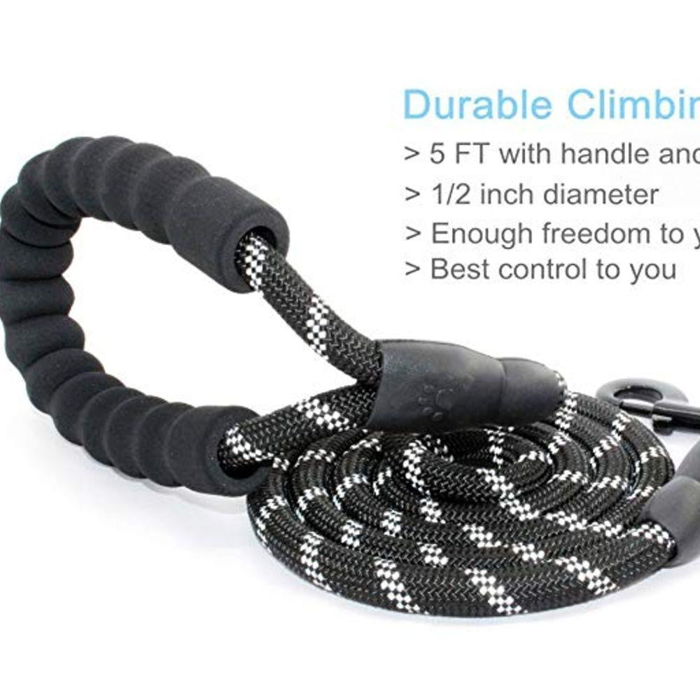 5ft Strong Dog Leash with Comfortable Padded Handle and Reflective Threads for Medium and Large Dogs - Black - by Famigift