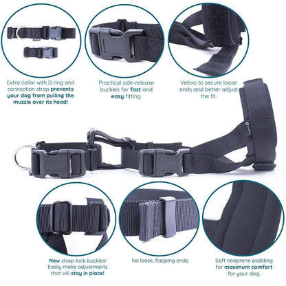 Pet Dog Padded Head Collar Gentle Halter Leash Leader Stop Pulling Training Tool - by Famigift