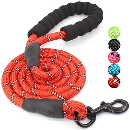 5ft Strong Dog Leash with Comfortable Padded Handle and Reflective Threads for Medium and Large Dogs - by Famigift