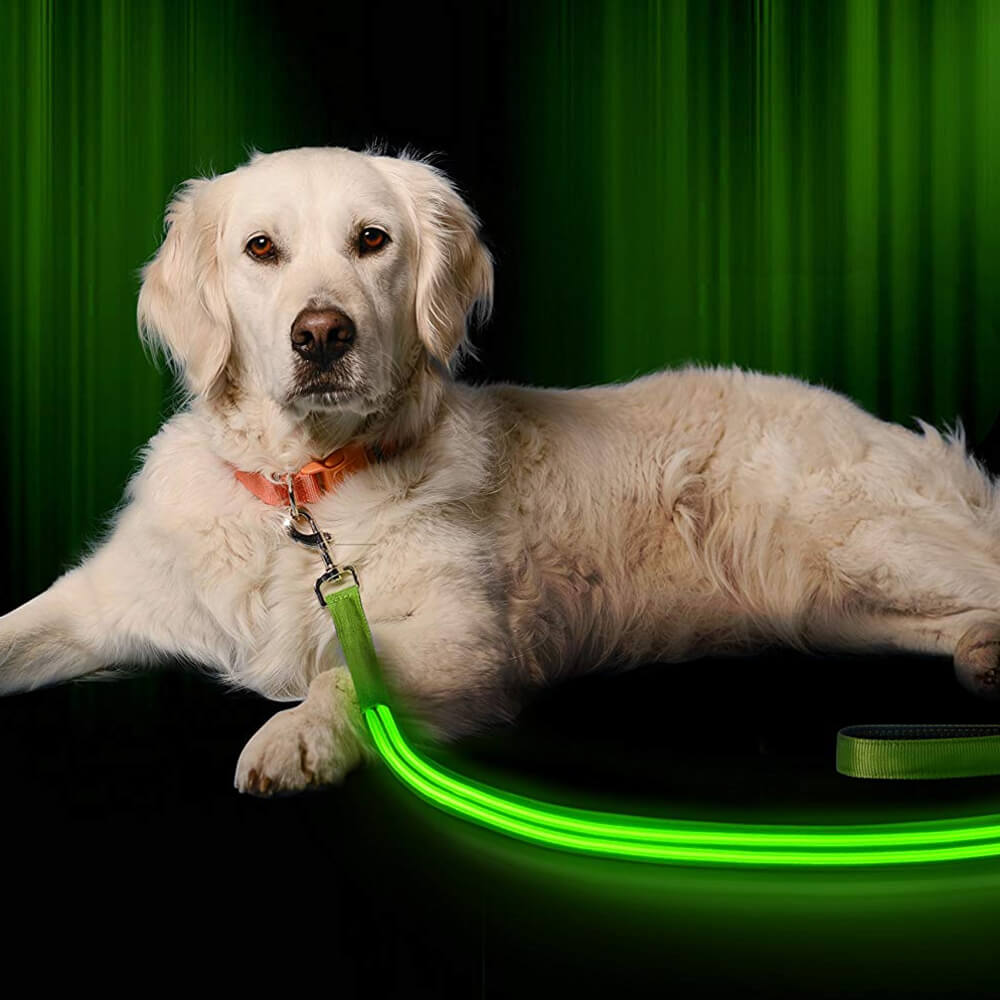 Safety LED Light Up Dog Leash With 3 Flashing Modes, Reflective & USB Rechargeable - Green - by Famigift