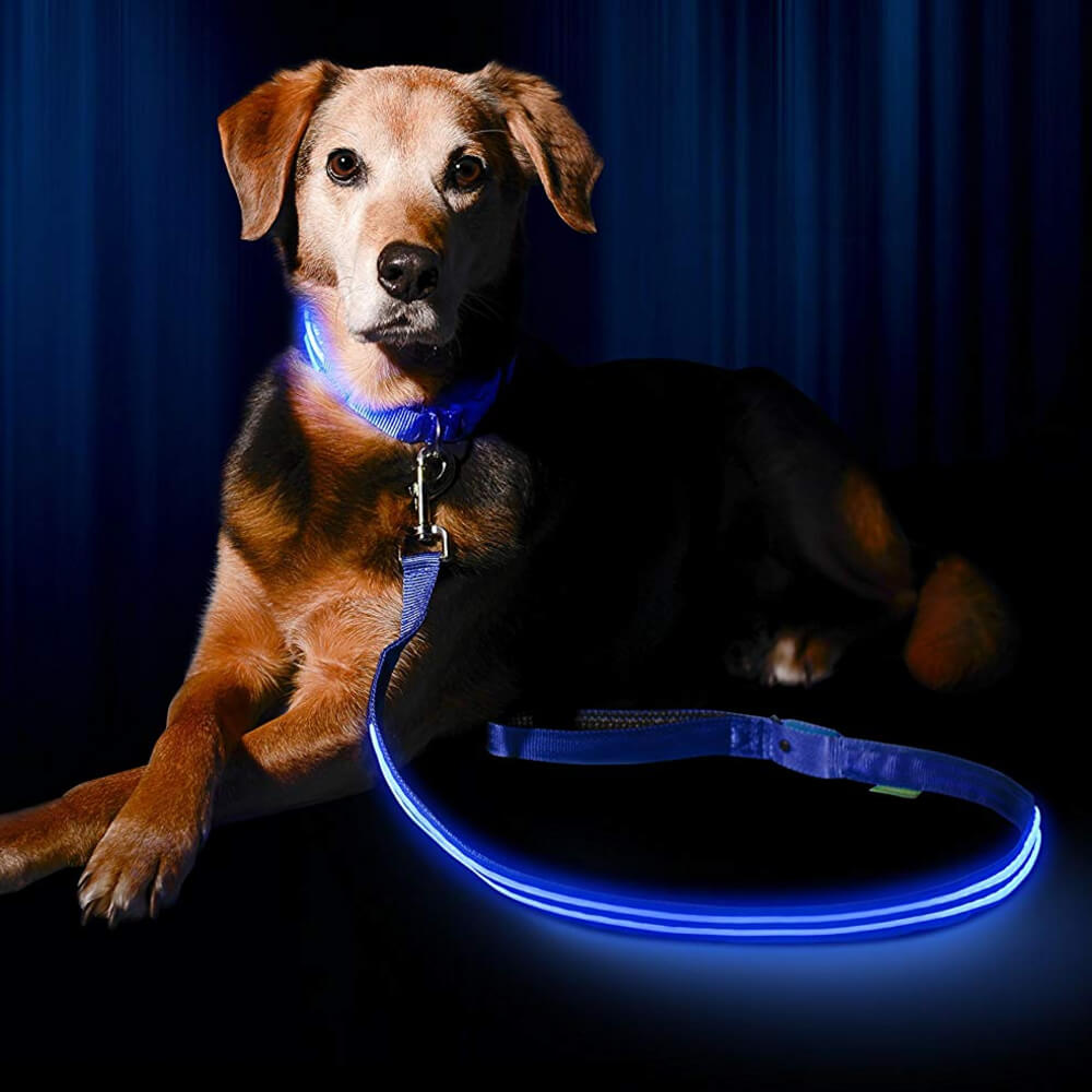 Safety LED Light Up Dog Leash With 3 Flashing Modes, Reflective & USB Rechargeable - Red - by Famigift