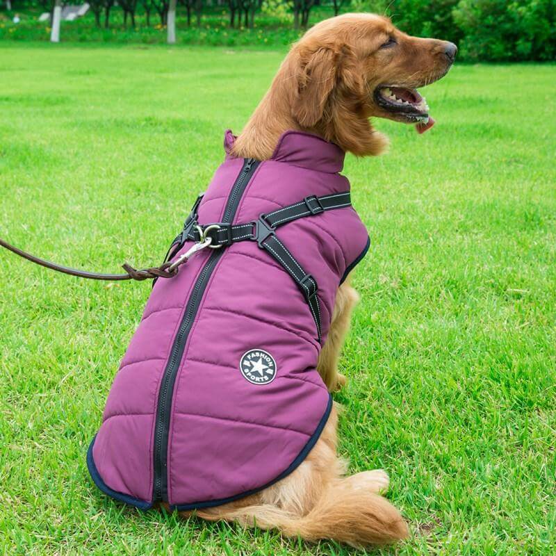Petcare Dog Winter Jacket - Red - by Famigift