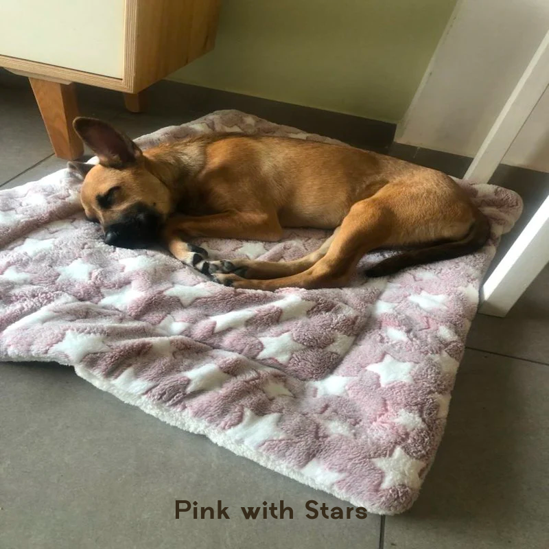 Fami Petcare Cloud Blanket - Grey with Stars - by Famigift