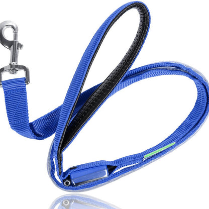 Safety LED Light Up Dog Leash With 3 Flashing Modes, Reflective & USB Rechargeable - by Famigift