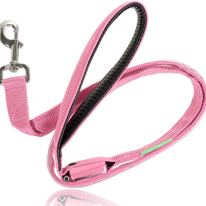 Safety LED Light Up Dog Leash With 3 Flashing Modes, Reflective & USB Rechargeable - Blue - by Famigift