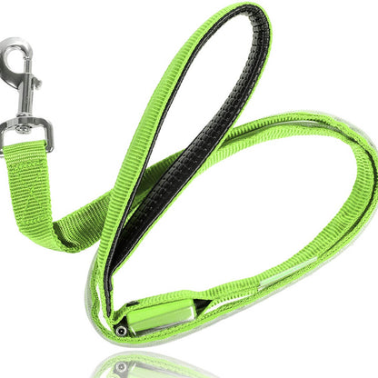 Safety LED Light Up Dog Leash With 3 Flashing Modes, Reflective & USB Rechargeable - by Famigift