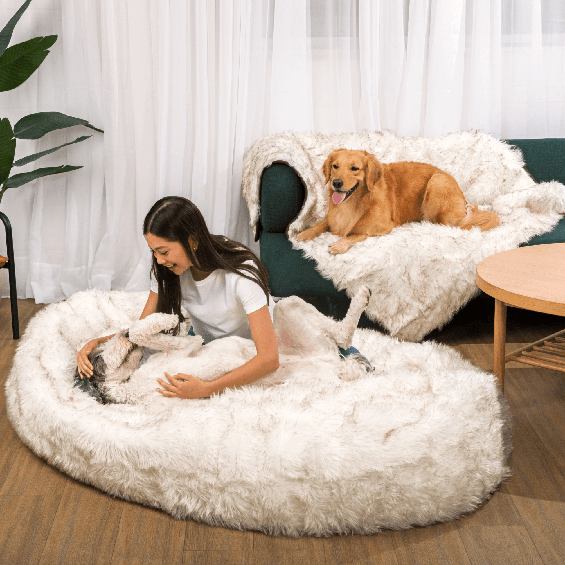 Petcare™ Anti Anxiety Dog Bed - Apricot - by Famigift