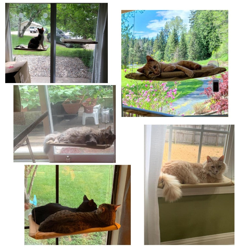 Cat Resting Seat Perch Window Hammock Pet Hanging Sleeping Beds Mount - Purple and blanket - by Famigift