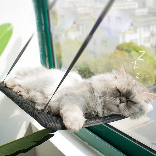 Cat Suction Cup Hanging Bed Cat Sofa Cat Bed Cat Basking In The Sun - by Famigift