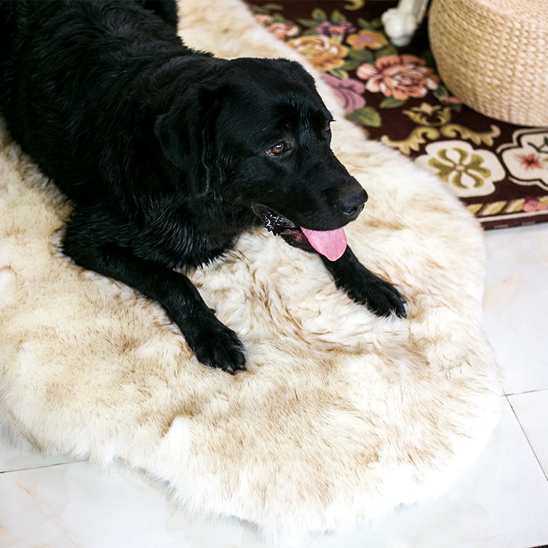 Fami Petcare Cloud Rug - Faux Fur Relaxing Dog Bed - White - by Famigift