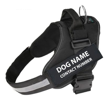 Reflective No-Pull Dog Harness - Blue - by Famigift