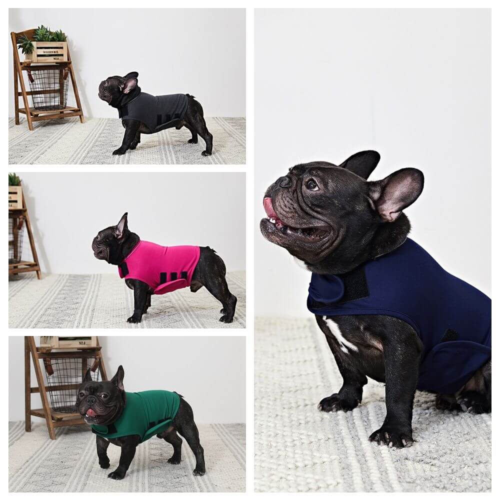 Classic Dog Anxiety Clothing Jacket - Green - by Famigift