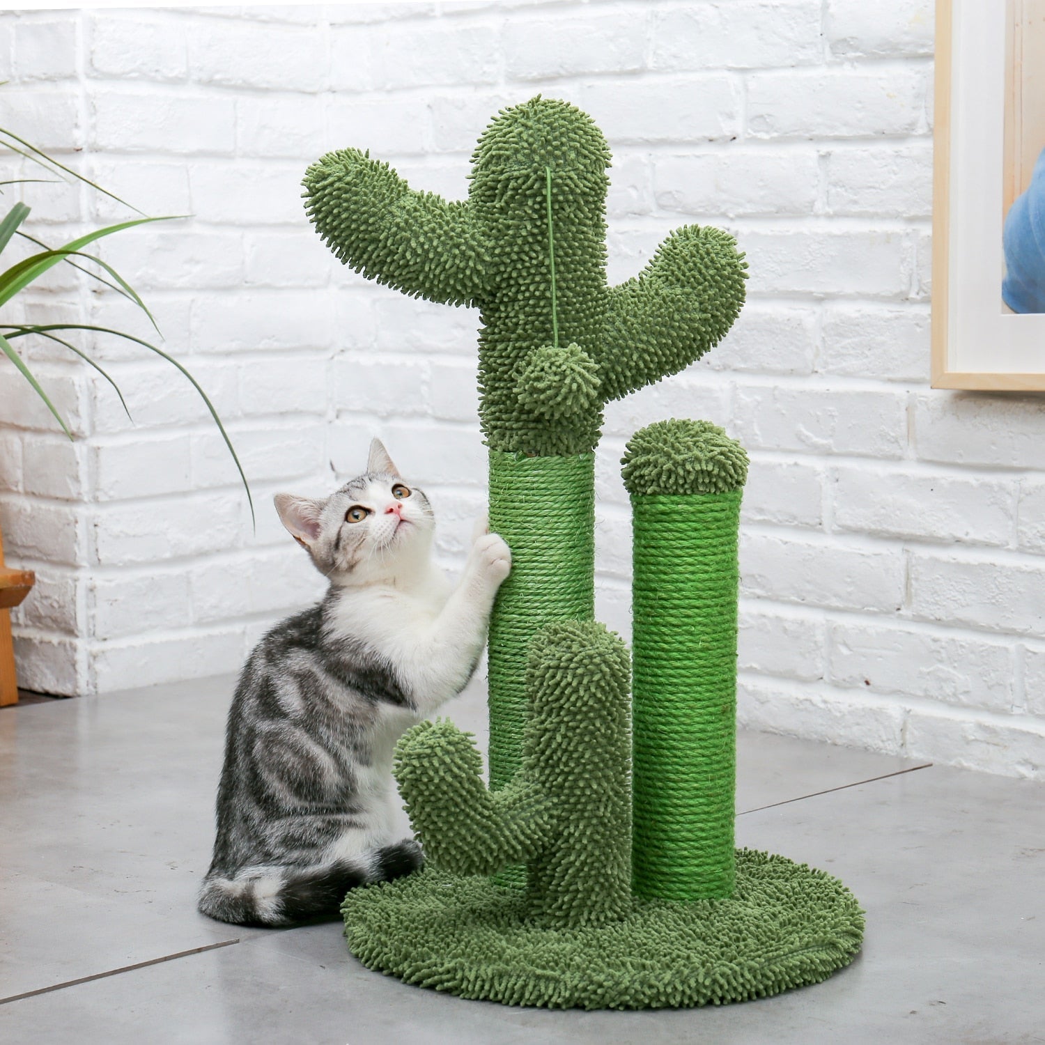 Cactus cat scratcher post featuring cat tree - B-L - by Famigift