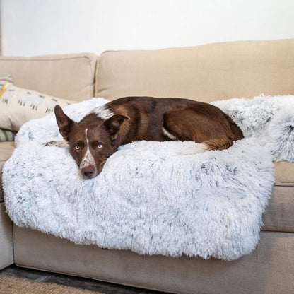 Fami Petcare PupCouch - Frost - by Famigift
