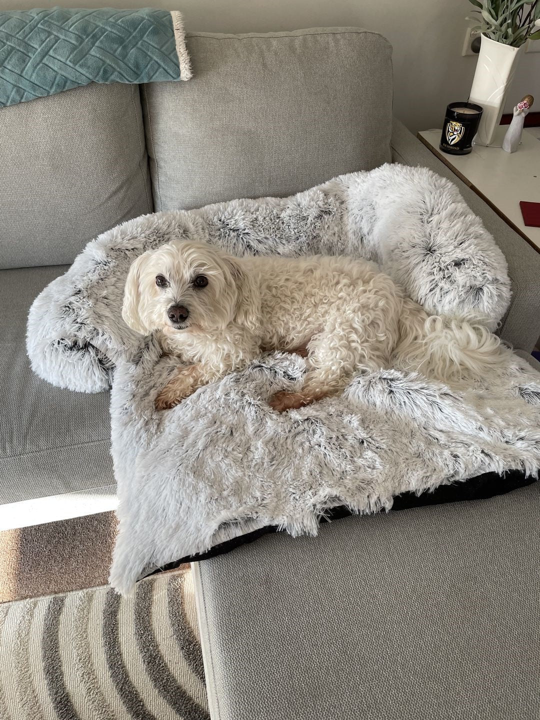 Fami Petcare PupCouch - Charcoal - by Famigift