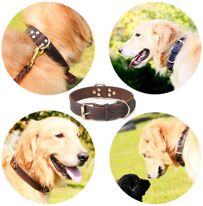 Fami Petcare Genuine Leather Collar - Brown - by Famigift