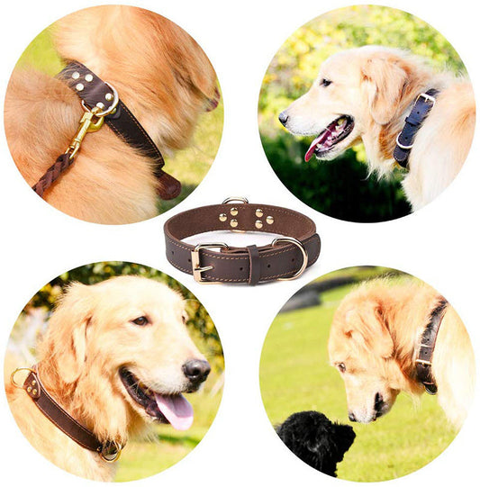 Fami Petcare Genuine Leather Collar - Brown - by Famigift
