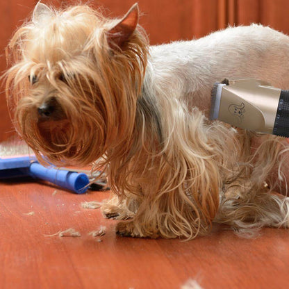 Pet Hair Clippers & Trimmers - by Famigift