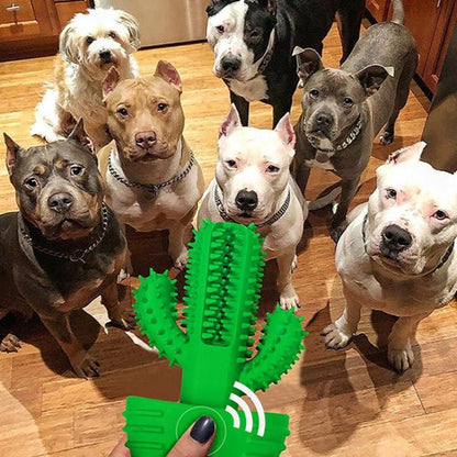 Pet Toothbrush Chew Toy Doggy Brush Stick Soft Rubber dog Teeth Cleaning - by Famigift