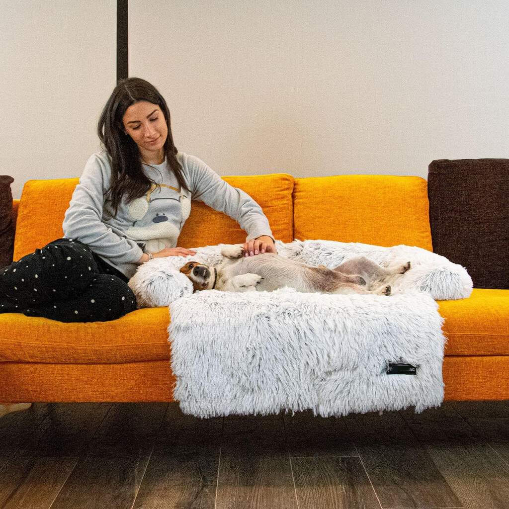 Sofa Bed (Furniture Protector - Grey - by Famigift