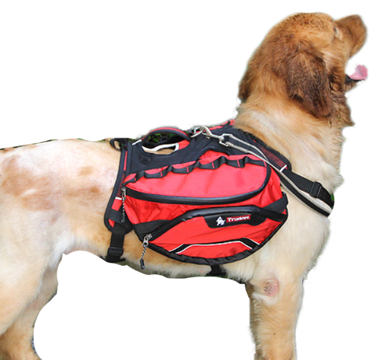 Fami Petcare Backpack Harness 2-in-1 - Green - by Famigift