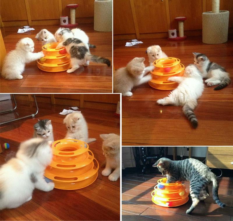 Cat Toy 3 Level Tower Track Roller Toy with Balls - by Famigift