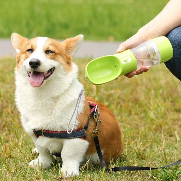 Pet Water Bottle Portable Outdoor Travel Water feeder - Gray - by Famigift