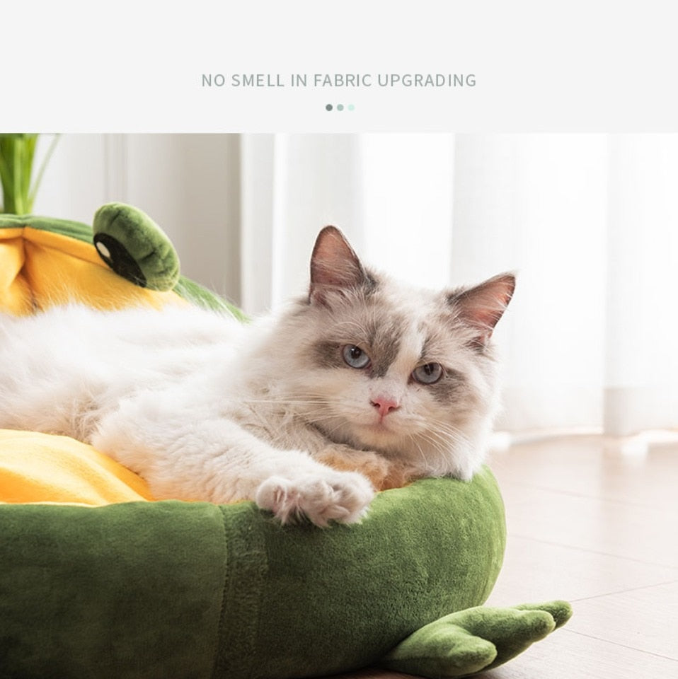 Pet Cat Dog Bed House for Cats Indoor Warm Frog Small Dog Sleep Mat - by Famigift
