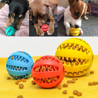 Fami Petcare Interactive Teeth Cleaning Ball - Lake Blue - by Famigift